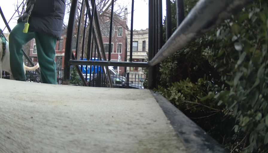 Reolink Camera Two_01_Reolink Home Hub One_20250208111716.jpg